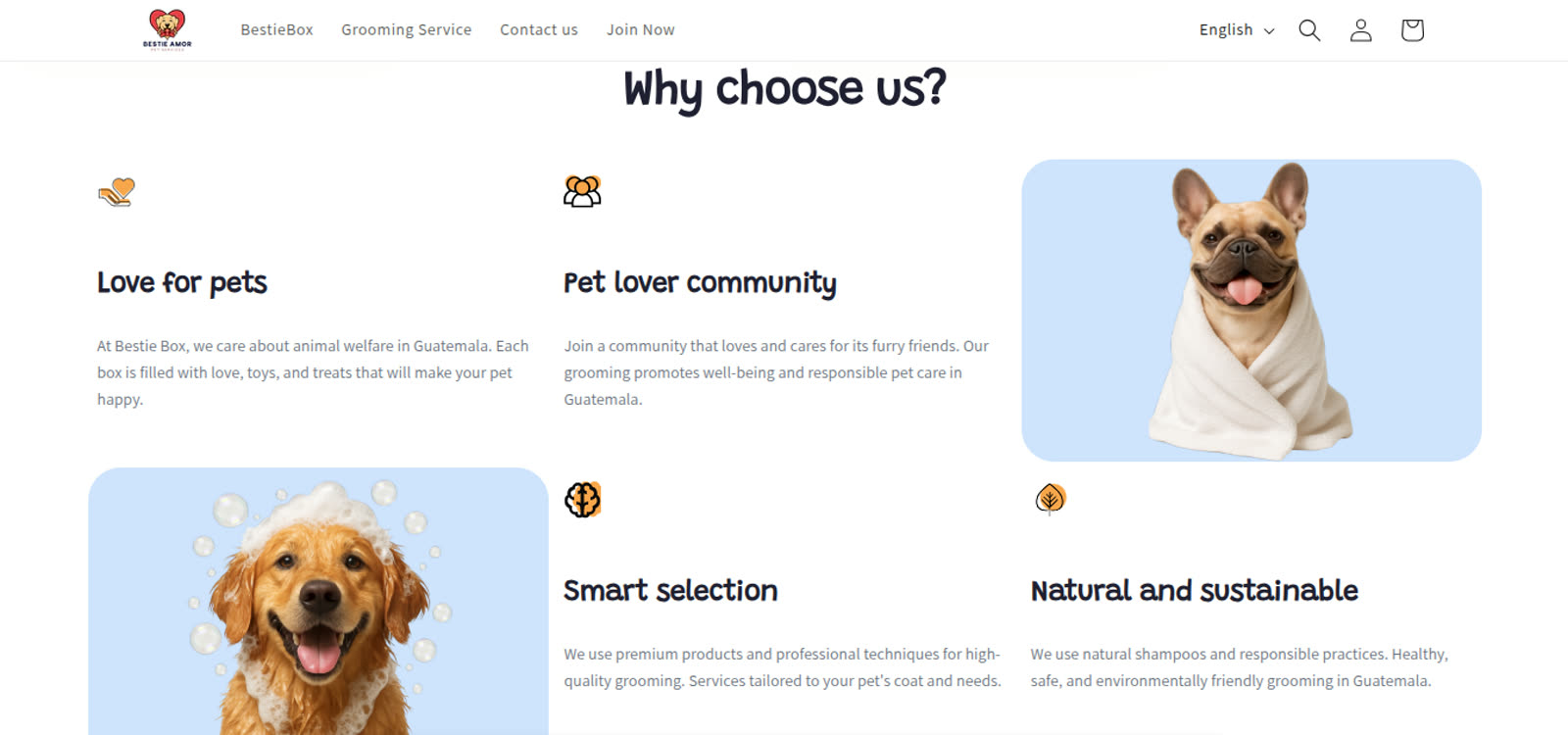 Bestie Amor — E-commerce / Shopify